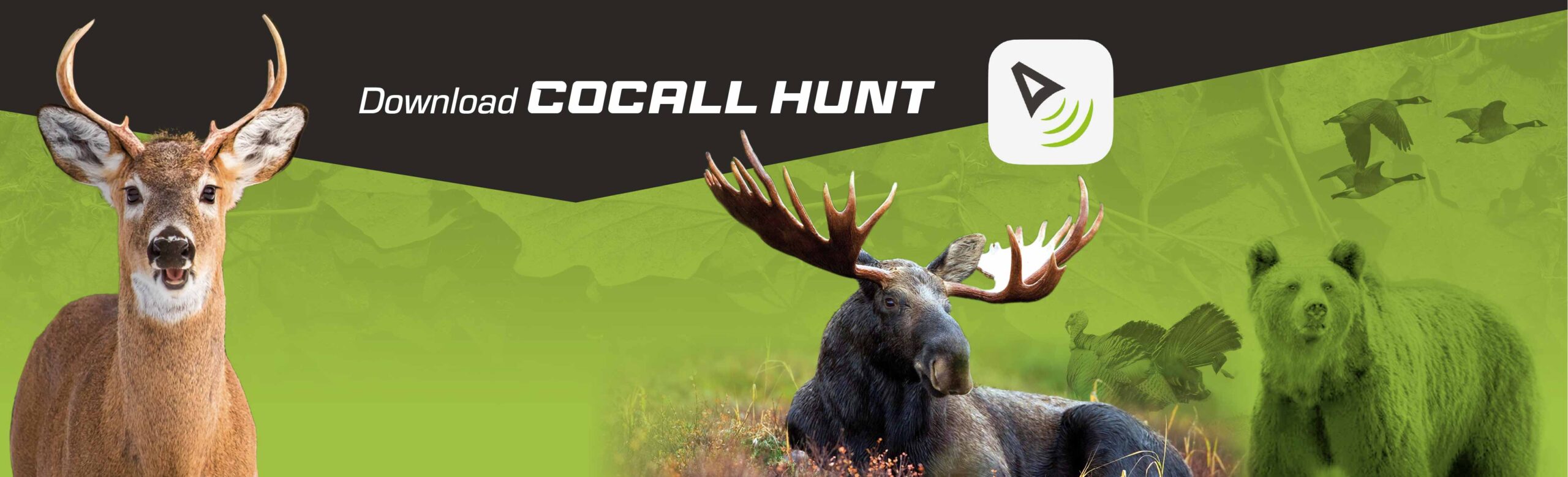 Slider-app-CocallHunt-frc-1