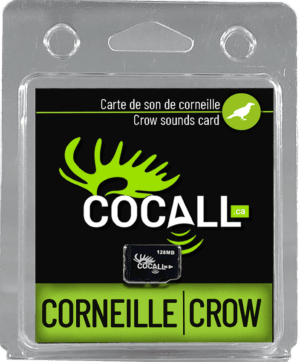 Carte de sons de corneille