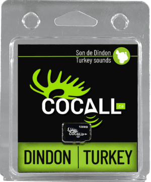 Carte de sons de dindon sauvage
