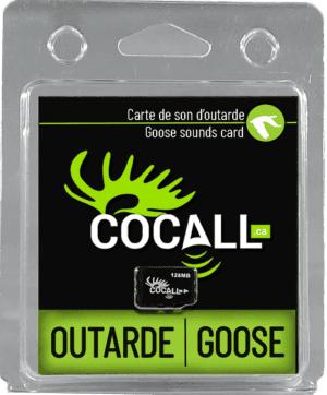 Carte de sons d’outarde